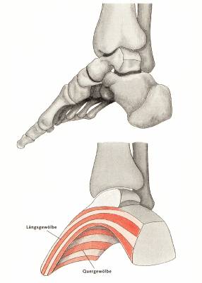 Barfußlaufen - Wieso wir wieder öfter auch mal ohne Schuhe unterwegs sein sollten